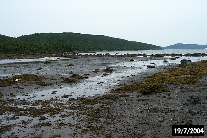 The bottom of Biche Arm is very shallow, making it useless for fishers.